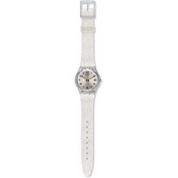 Swatch SILVERALL L GM416A